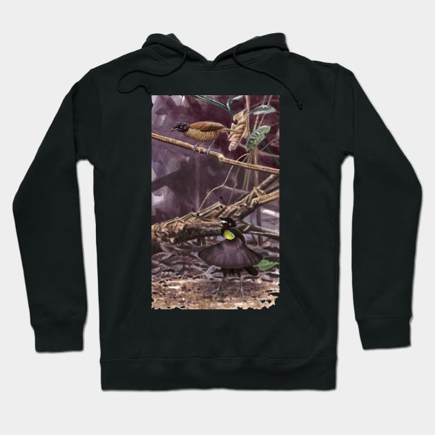 Lawes's Parotia Hoodie by kokayart